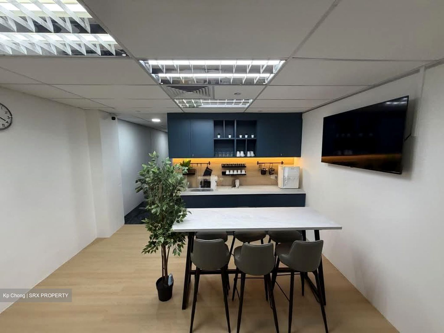 Orchard Plaza (D9), Office #582813701